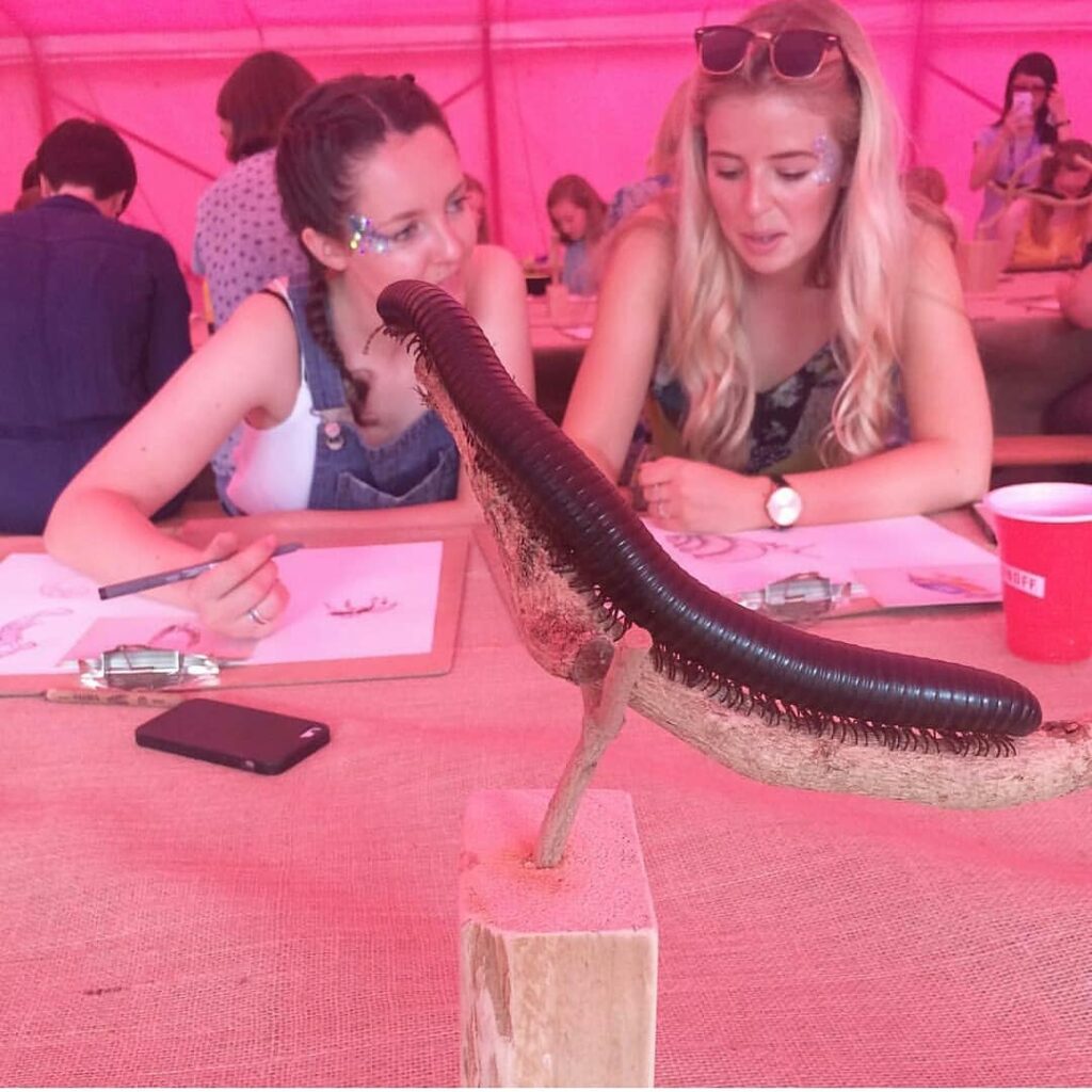 Animal Workshops Mobile Zoo